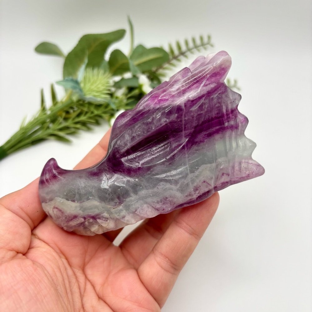 Fluorite Dragon (B)